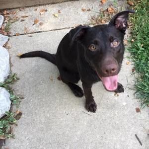 Meet your Posher, Jason